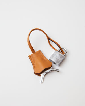 Hermès Birkin Cargo 25 Desert Sesame Canvas Swift PHW