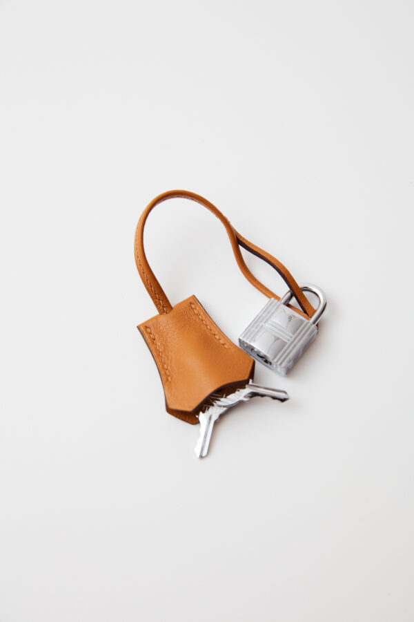 Hermès Birkin Cargo 25 Desert Sesame Canvas Swift PHW