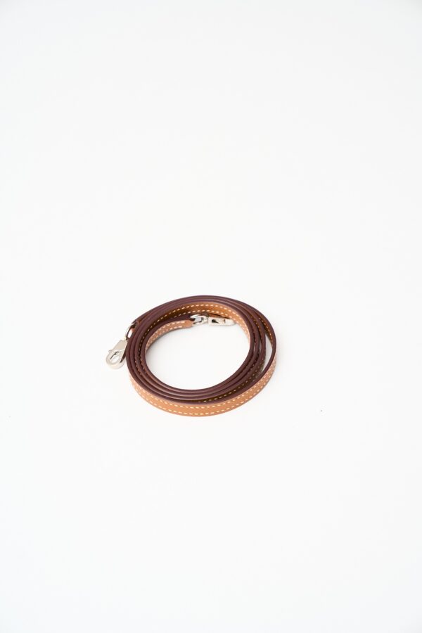 Hermès Mini Kelly 20 Gold Epsom PHW