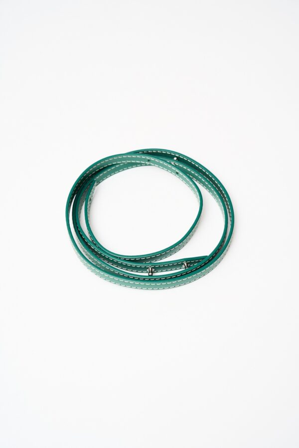 Goyard Saïgon Structure Mini Green Bag